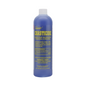 Chasticide - 16oz (Barbicide)