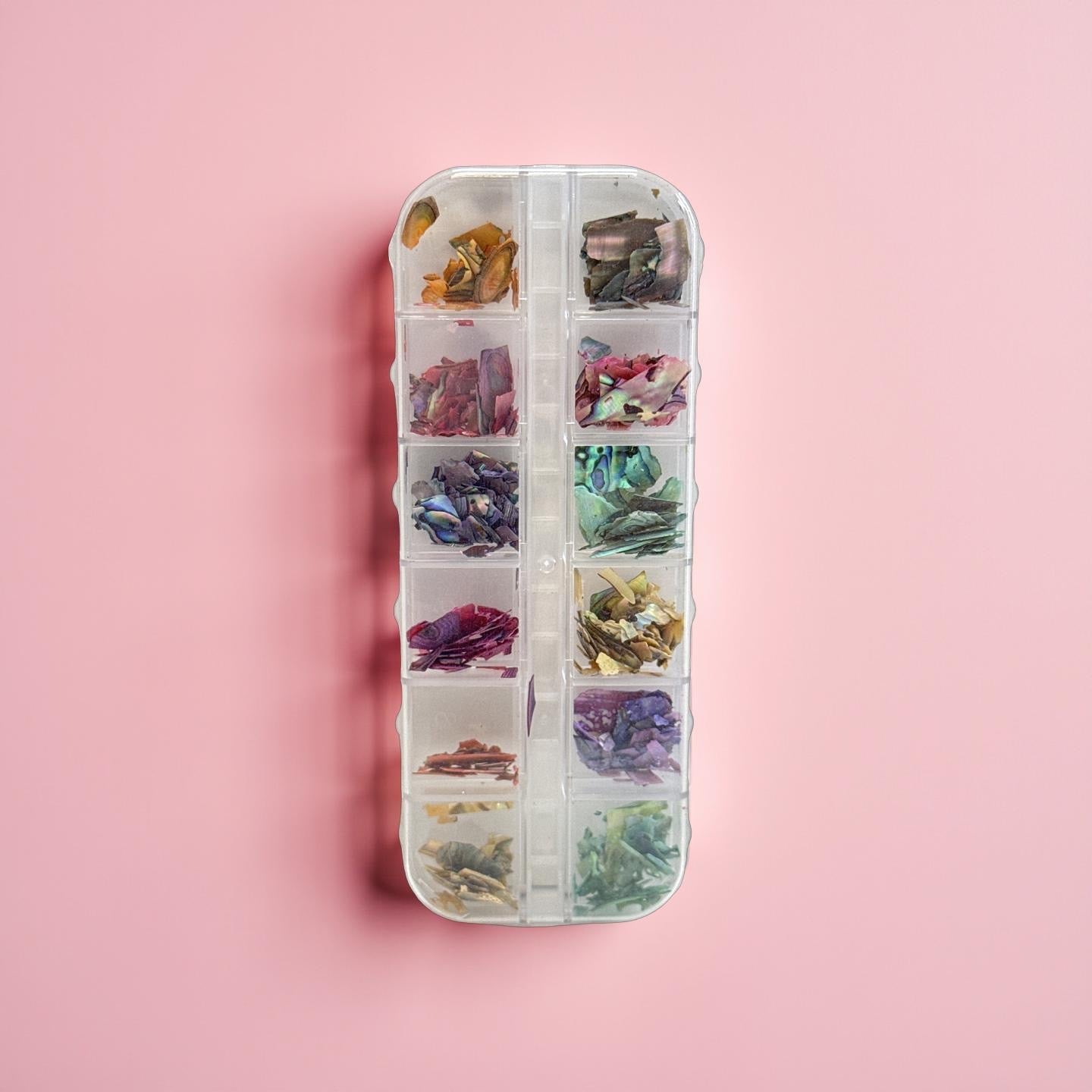 Slice Shells  - 12 Colors