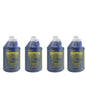 *Case Chasticide Disinfectant - 4x128oz (Barbicide)
