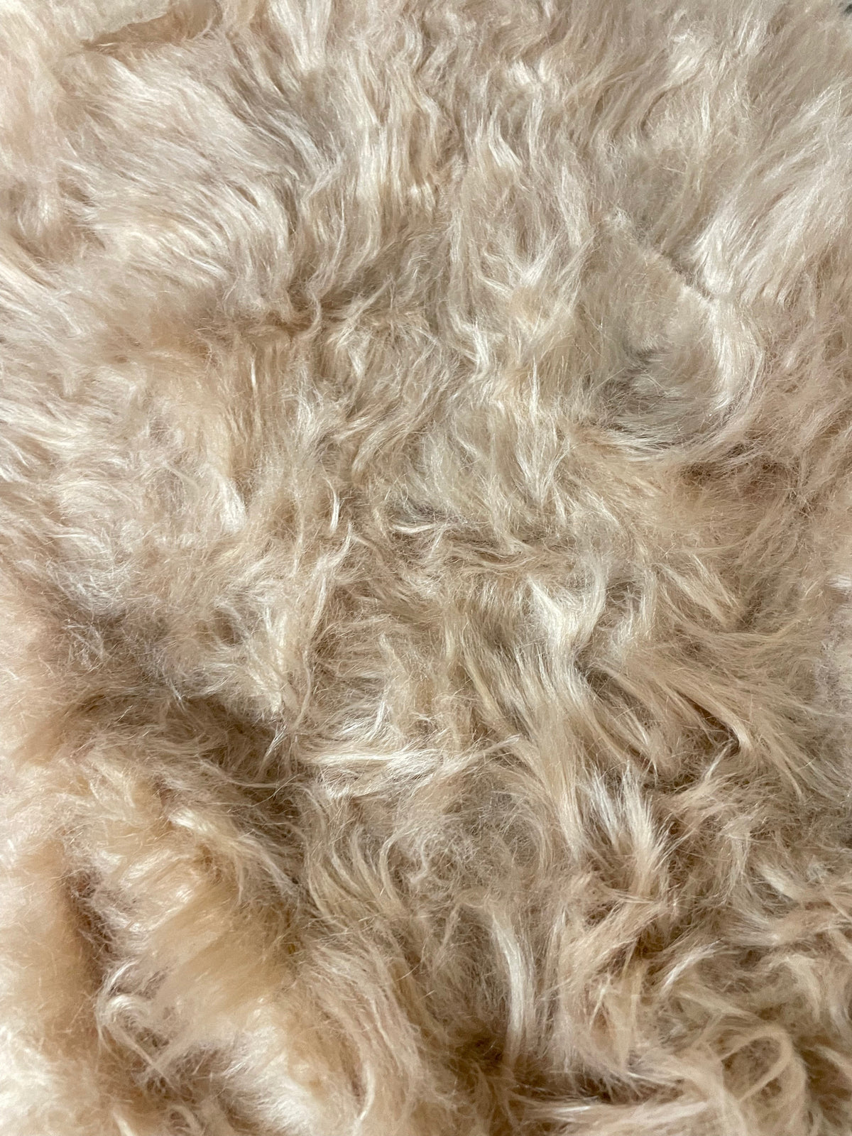 Fierce Beauty - Fur Photo Backdrop