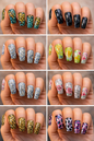 Queen - Assorted Nail Foil - Foils13