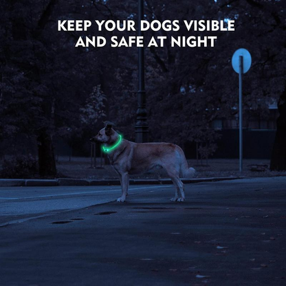 LED Dog Collar Rechargeable Light up Collars IP67 Waterproof for Night Walking Adjustable Reusable Safety Necklace for Small Medium Large Dogs in Red Pink Green Blue