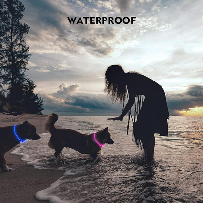 LED Dog Collar Rechargeable Light up Collars IP67 Waterproof for Night Walking Adjustable Reusable Safety Necklace for Small Medium Large Dogs in Red Pink Green Blue