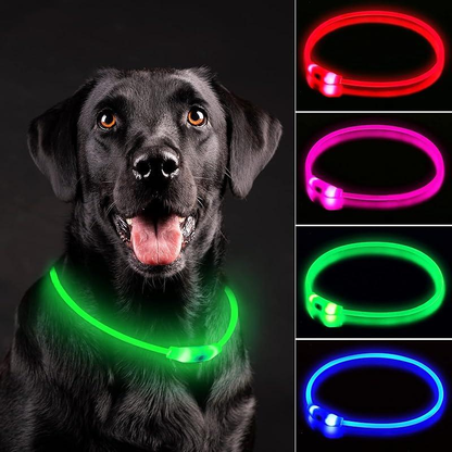 LED Dog Collar Rechargeable Light up Collars IP67 Waterproof for Night Walking Adjustable Reusable Safety Necklace for Small Medium Large Dogs in Red Pink Green Blue