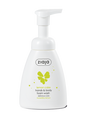 Lemon Cake - Hands & Body Foam Wash - Delicious Skin Care