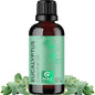 Pure Natural Eucalyptus Essential Oil 1 fl oz