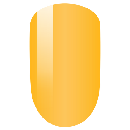 PMDP064 Golden Boy-Friend - 3in1 Gel Dip Acrylic  42gm