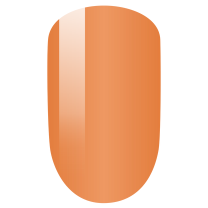 PMDP205 Felicity - 3in1 Gel Dip Acrylic  42gm