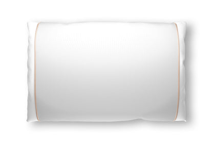 Champagne Silk Pillow Sleeve.