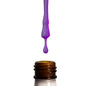 Lechat - Perfect Match - #277 Purple Craze .5oz(Duo)(Limited)