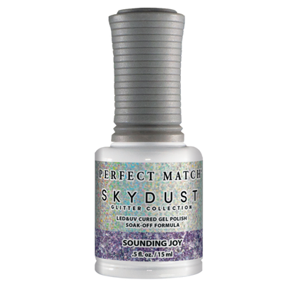 SDMS13 Sounding Joy - Sky Dust Duo