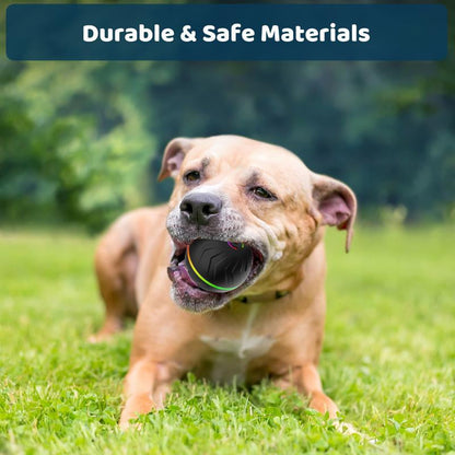 Interactive Touch-Activated Dog Ball - Moving, Vibrating Toy for Small & Medium Dogs - Anti-Boredom, USB Rechargeable Fun!