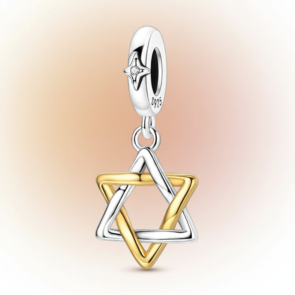 (50-113)MULA S925 Sterling Silver Pendant and Beads , Suitable for Pandora Bracelets and Necklaces, Ideal for Anniversary Gifts, Christmas, Birthday Presents, and Suitable for All Women.