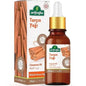 Arifoglu Cinnamon Essential Oil for Aromatherapy 20ml