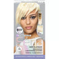 Absolute Platinum Hair Color