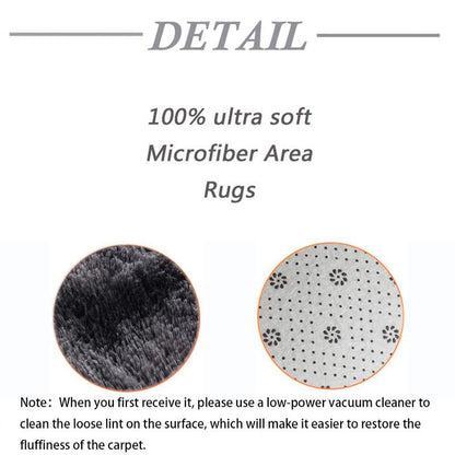 Shag Area Rugs for Bedroom Living Room,Ultra Soft Fluffy Area Rugs for Dorm, Indoor Carpet Nursery Rugs for Kids Room Home Decor, Modern Shaggy Rug