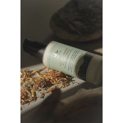 Conyferus WellBeauty Hydra Harmony Repair Cream 50ml