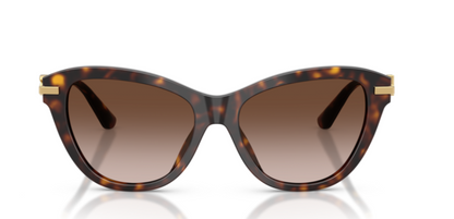 Dolce Gabbana 0DG4534 Havana Brown Square Sunglasses 53mm