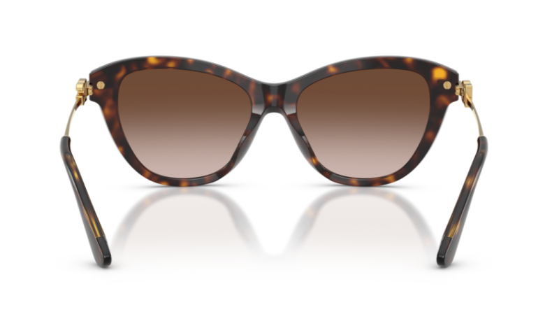 Dolce Gabbana 0DG4534 Havana Brown Square Sunglasses 53mm