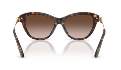 Dolce Gabbana 0DG4534 Havana Brown Square Sunglasses 53mm