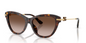 Dolce Gabbana 0DG4534 Havana Brown Square Sunglasses 53mm
