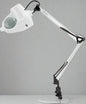 Alvin - Swing-Arm Magnifier Lamp - White