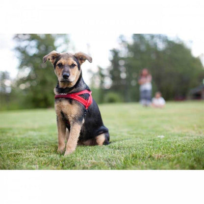 EzyDog Quick Fit Dog Harness Padded Comfort XX Small Candy