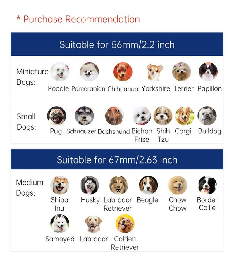 Tiktokshopblackfriday, Petgravity Interactive Dog Toys Dog Bouncing Ball, Dog Jumping Ball, Motion Activated Automatic Bouncing Ball Toys for Small/Medium Dogs, USB Rechargeable Pet Toys