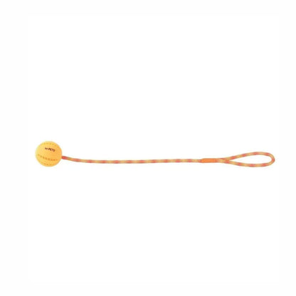 M-Pets Flash LED Light-Up Ball Dog Toy Orange