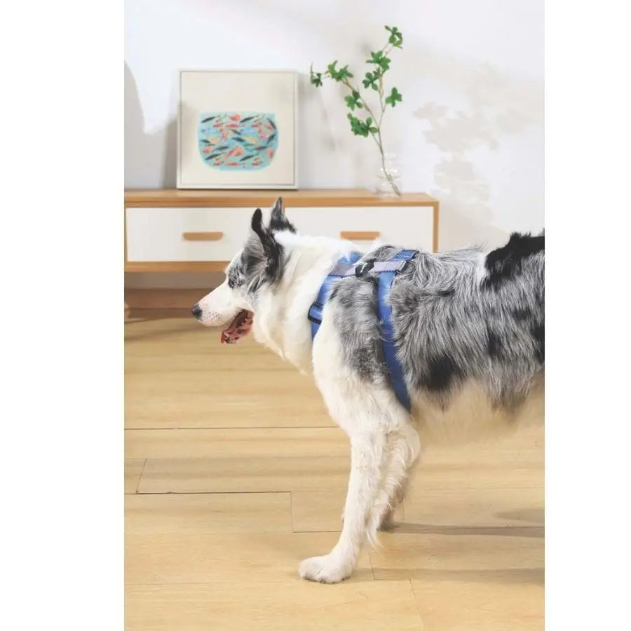 M-Pets Gentle Dog Harness Blue Large Comfort Fit
