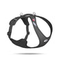 Curli Belka Harness Air-Mesh Choke-Free Dog Harness Black 2XL