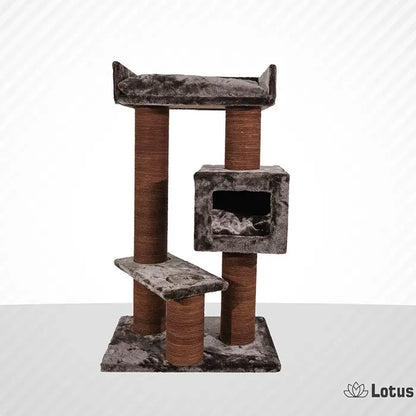 Lotus Pet Design Toulouse Brown Cat Scratcher 1 Count