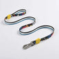 Lindo Enjoy Small Dog Leash for Daily Walking 15mm x 120cm
