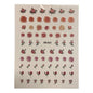 Nail Sticker - DD-013 Mix Nude Roses