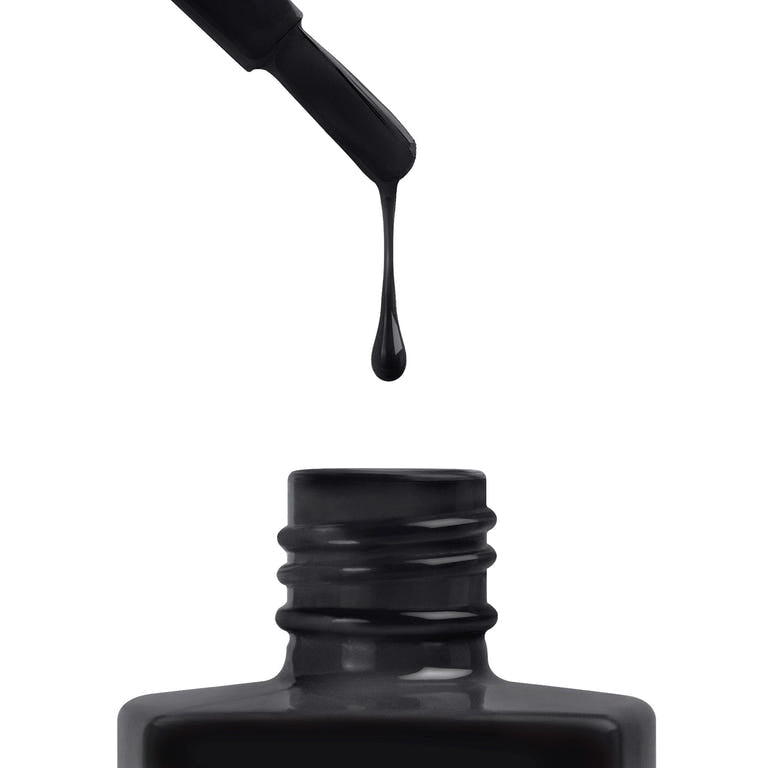 BIRNAM WOOD - 344 | Black