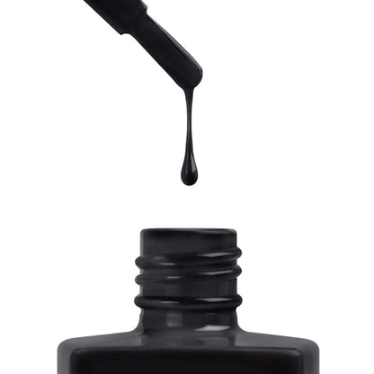 BIRNAM WOOD - 344 | Black