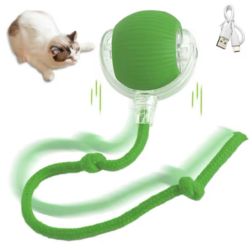 Rimba Interactive Moving Ball Cat Toy with String 6cm