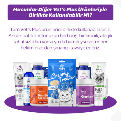 Vet's Plus Sterilized Cat Malt Paste for Urinary Support 100g