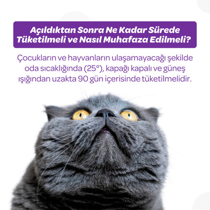 Vet's Plus Sterilized Cat Malt Paste for Urinary Support 100g