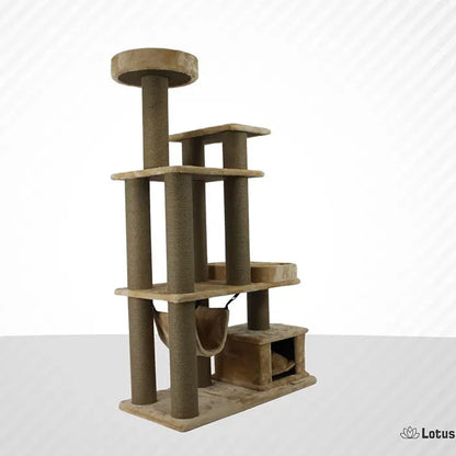 Lotus Pet Design Istanbul Honey Cat Scratcher 1 Count