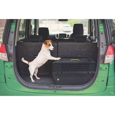 M-Pets Eco Trek XL IATA Wheeled Dog Travel Crate 42x30x31in