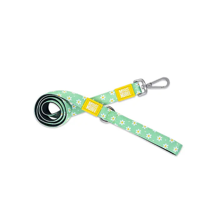Max & Molly Margarite Dog Leash Padded Comfort Lead Large