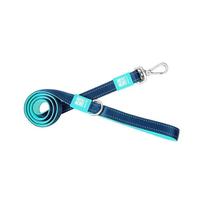 Max & Molly Matrix Sky Blue Dog Leash for Large Breeds