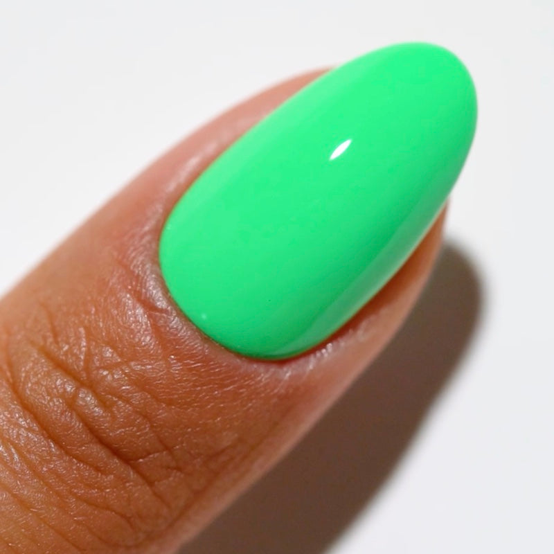 Palm Tree #2537 - DC Gel Duo