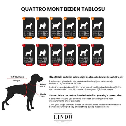Lindo Quattro Nebula Waterproof Dog Raincoat for All Seasons