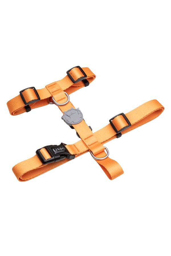 Lindo Royal H-Type Dog Harness for Secure Walking Medium