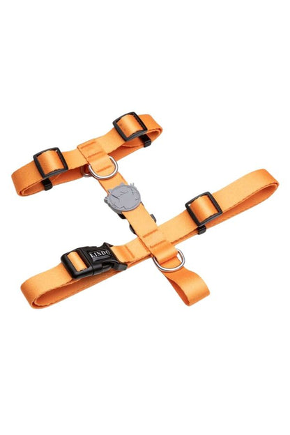 Lindo Royal H-Type Dog Harness for Secure Walking Medium