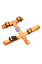 Lindo Royal H-Type Dog Harness for Secure Walking Medium