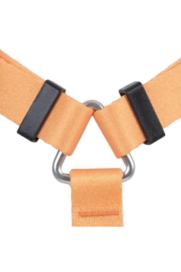 Lindo Royal H-Type Dog Harness for Secure Walking Medium