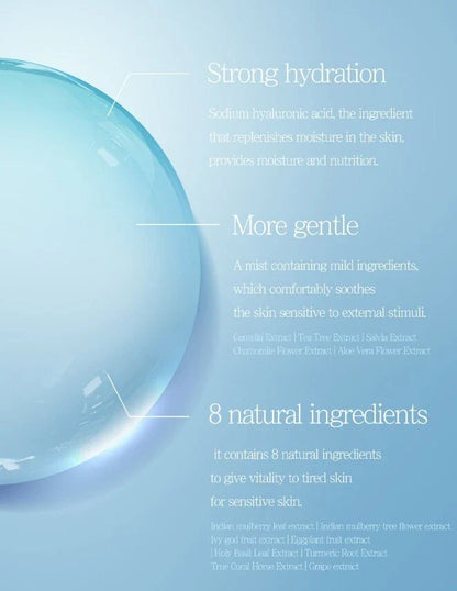 Hyaluronic Acid Moisturizer Mist